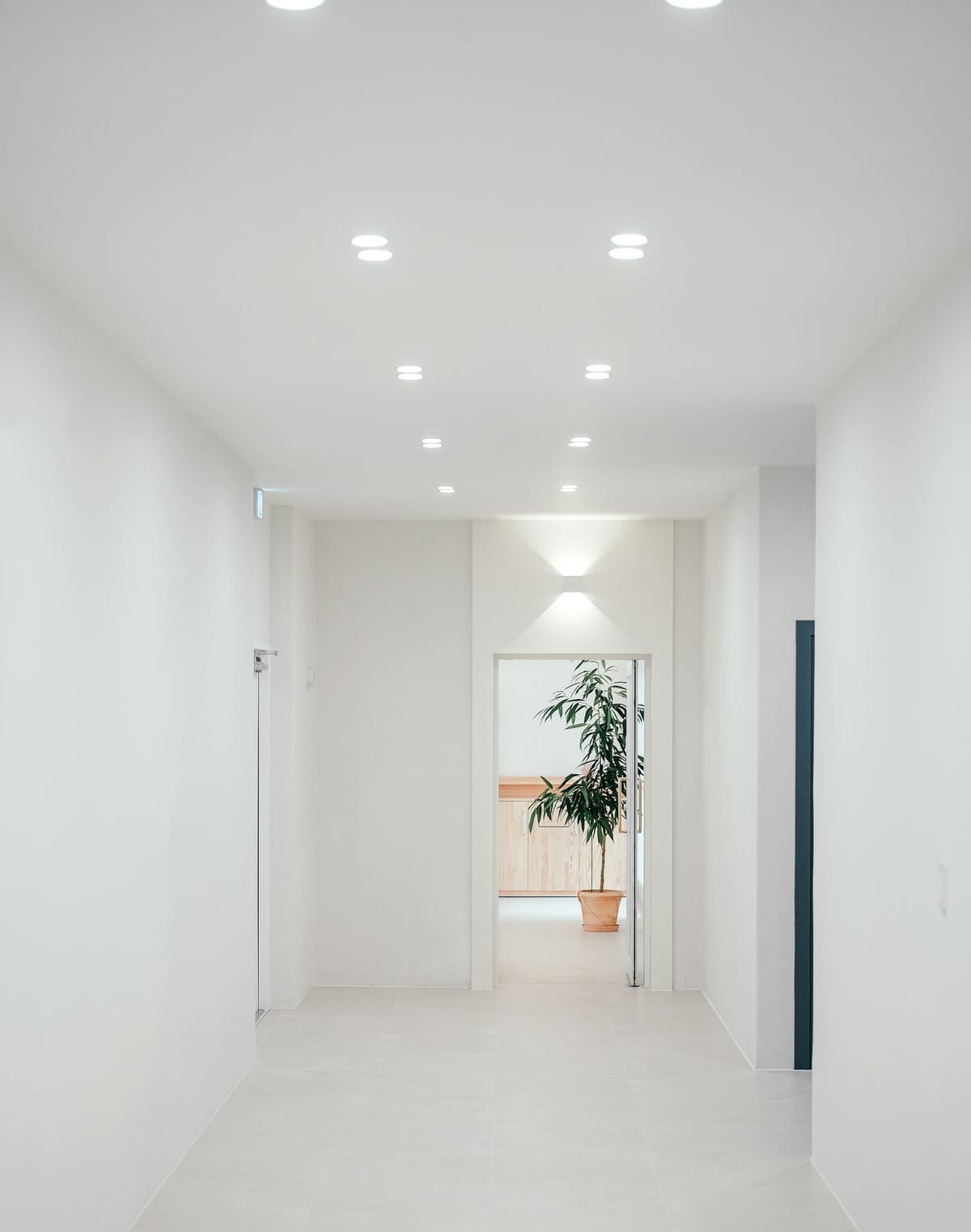 Quel éclairage choisir pour une entrée sombre ? Les meilleures options